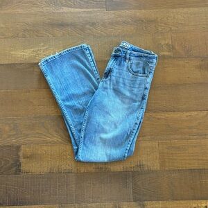 idyllwind bootcut jeans